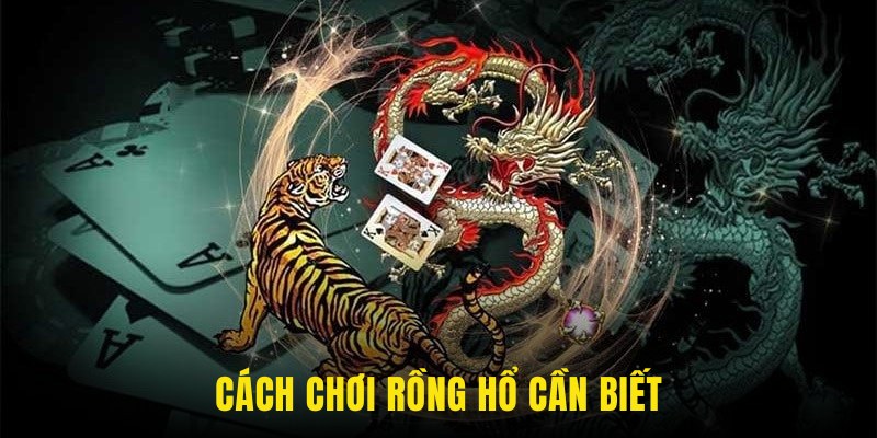 Cách Chơi Rồng Hổ 3 Cách chơi rồng hổ cần biết